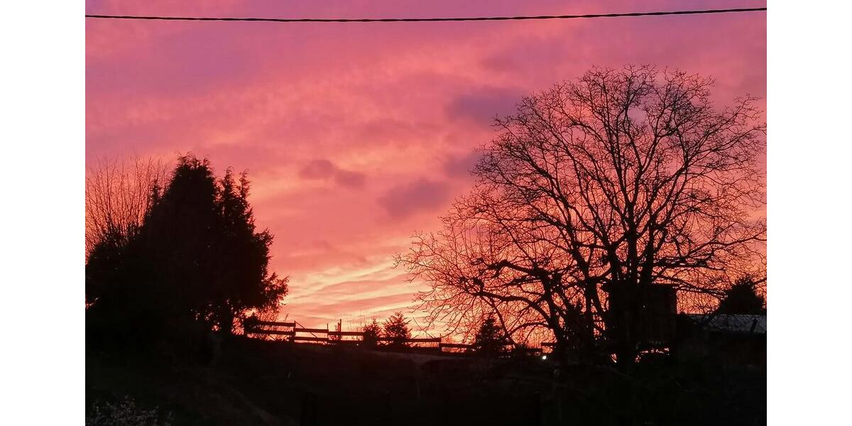 Wohnen auf Zeit Leiwen - 3 Zimmer, 92 m&sup2;, 1.400&euro; | Angebot:22737900