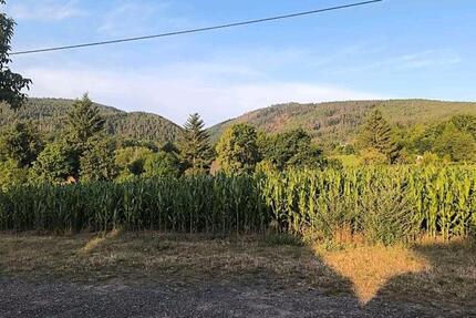 Wohnen auf Zeit Saalfeld (Saale) - 2 Zimmer, 50 m&sup2;, 40&euro; | Angebot:24700760