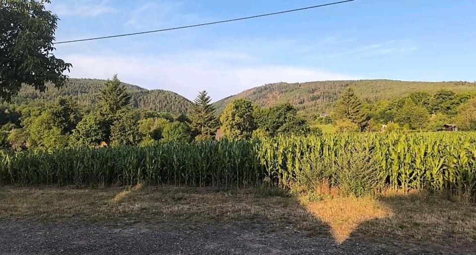 Wohnen auf Zeit Saalfeld (Saale) - 2 Zimmer, 50 m&sup2;, 40&euro; | Angebot:24700760