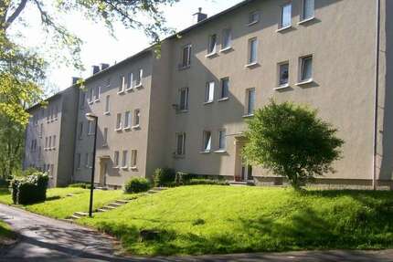 Wohnung Arnsberg - 4 Zimmer, 66 m&sup2;, 408&euro; | Angebot:26997765