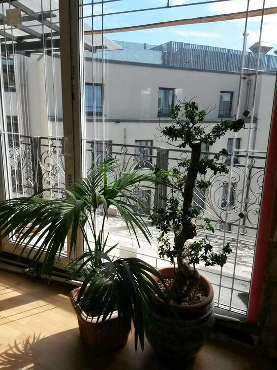 Wohnen auf Zeit in Düsseldorf 1.885 € 2 zimmer