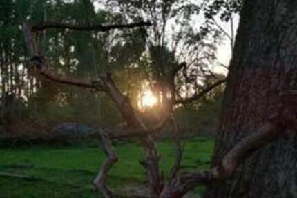 Grundstück für Wohnwagen mit Straßenzulassung in der Feldschütt - Auch für Naturliebhaber, Gartenfreunde und Selbstversorger 