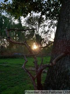 Grundstück für Wohnwagen mit Straßenzulassung in der Feldschütt - Auch für Naturliebhaber, Gartenfreunde und Selbstversorger 