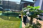 Etagenwohnung Hennef (Sieg) - 1 Zimmer, 150 m&sup2;, 500&euro; | Angebot:26626176