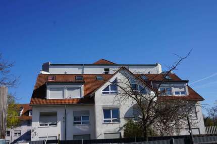 Wohnung Germersheim - 1.5 Zimmer, 24 m&sup2;, 340&euro; | Angebot:26837659