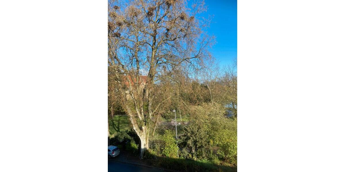 Wohnen auf Zeit Landau in der Pfalz - 1 Zimmer, 17 m&sup2;, 455&euro; | Angebot:26627840