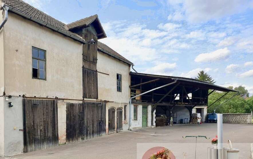 Halle in Börde-Hakel 700 € 440 m²