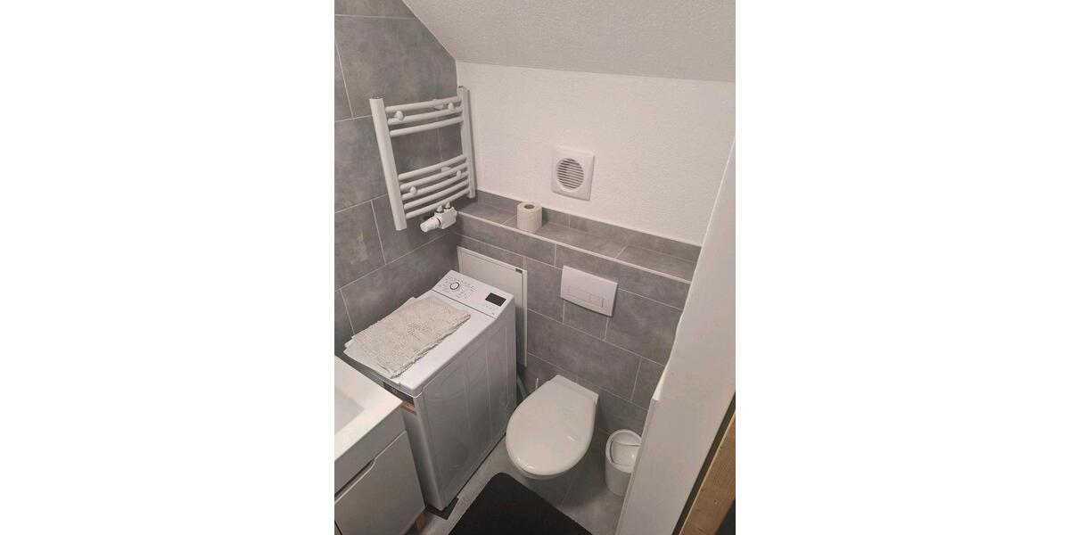 Wohnen auf Zeit Worms - 2 Zimmer, 45 m&sup2;, 450&euro; | Angebot:26211044