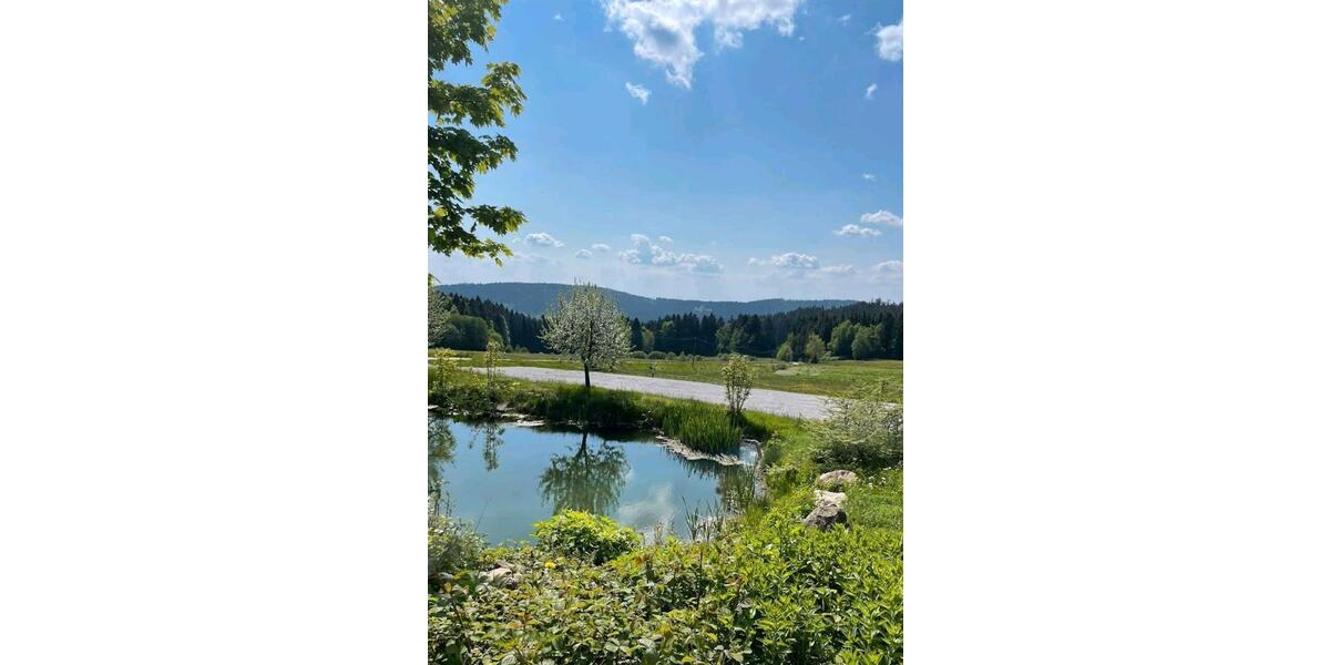 Wohnen auf Zeit Sankt Englmar - 1 Zimmer, 40 m&sup2;, 600&euro; | Angebot:24775115