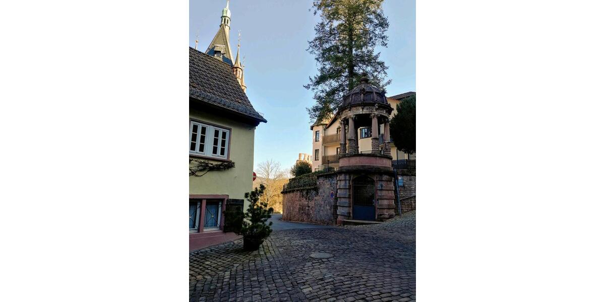 Etagenwohnung Heidelberg - 1 Zimmer, 28 m&sup2;, 705&euro; | Angebot:25055335