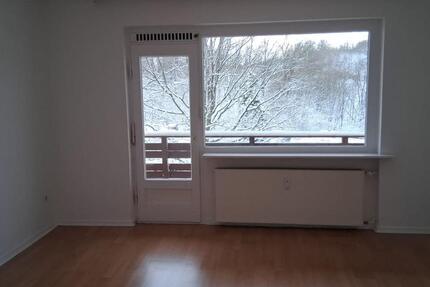 Wohnung Bad Sachsa - 1 Zimmer, 30 m&sup2;, 185&euro; | Angebot:25009978