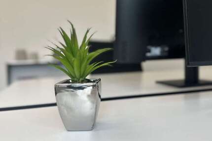 Gewerbeobjekt Lützen - 299&euro; | Angebot:25244030