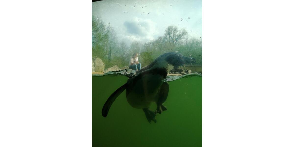 Wohnen auf Zeit Edermünde - 2 Zimmer, 40 m&sup2;, 50&euro; | Angebot:24747523