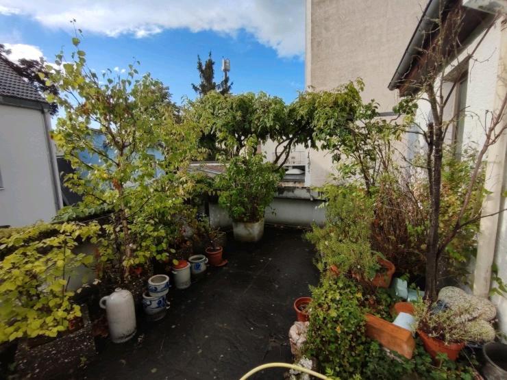 WG-Zimmer in 4er Frauen-WG im Herzen Biebrichs 1 zimmer