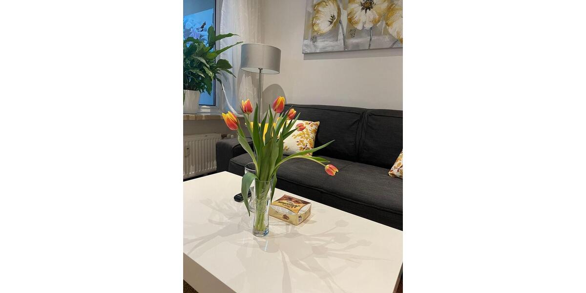 Wohnen auf Zeit Münster Münster-West - 2 Zimmer, 45 m&sup2;, 1.395&euro; | Angebot:26049542