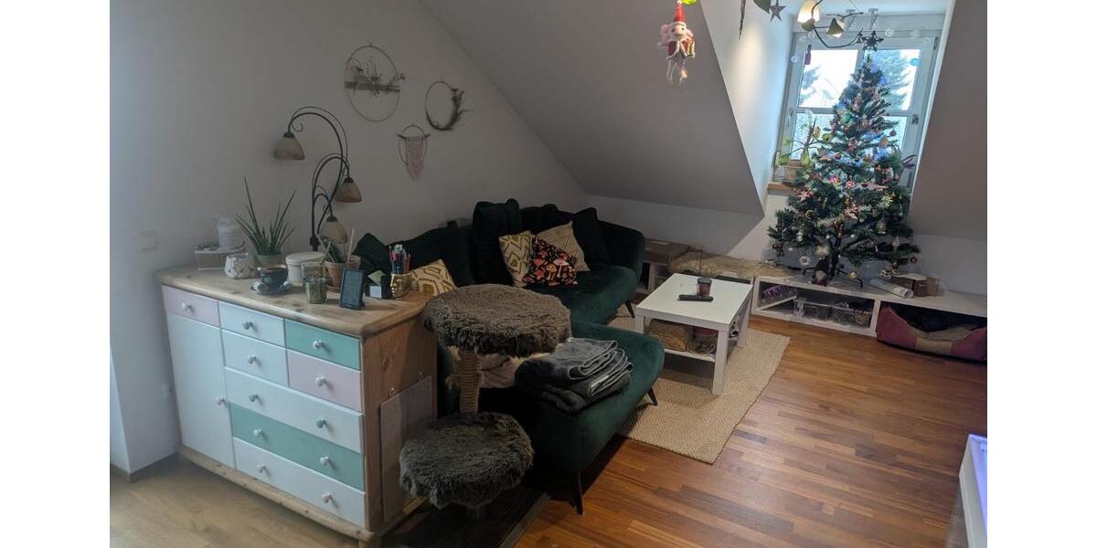 Wohnen auf Zeit Petershausen - 1.5 Zimmer, 54 m&sup2;, 950&euro; | Angebot:24528531