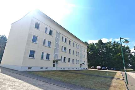 Wohnung zum Mieten in Gräfenhainichen 245 € 50 m² 2 zimmer