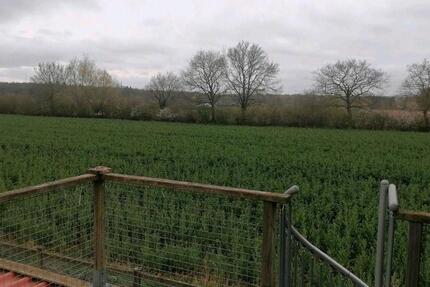 Wohnung Grömitz - 2 Zimmer, 40 m&sup2;, 440&euro; | Angebot:26234805