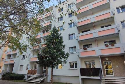 Wohnung Halle (Saale) Südliche Neustadt - 3 Zimmer, 57 m&sup2;, 342&euro; | Angebot:26758666