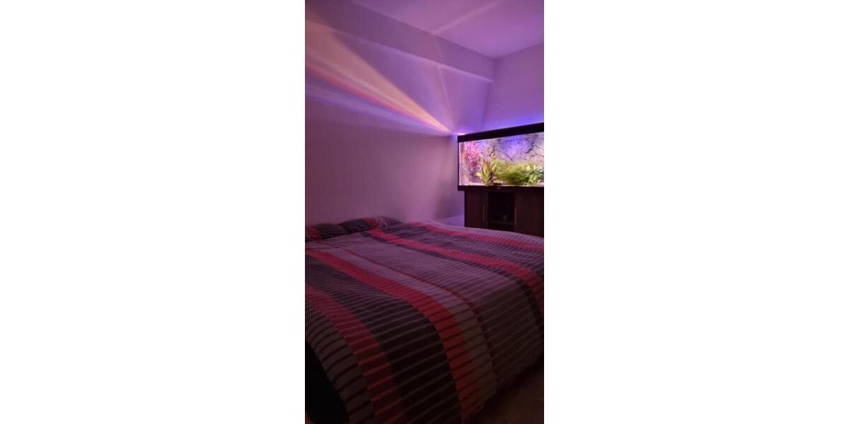 Wohnen auf Zeit Nidda - 2 Zimmer, 55 m&sup2;, 500&euro; | Angebot:24755192