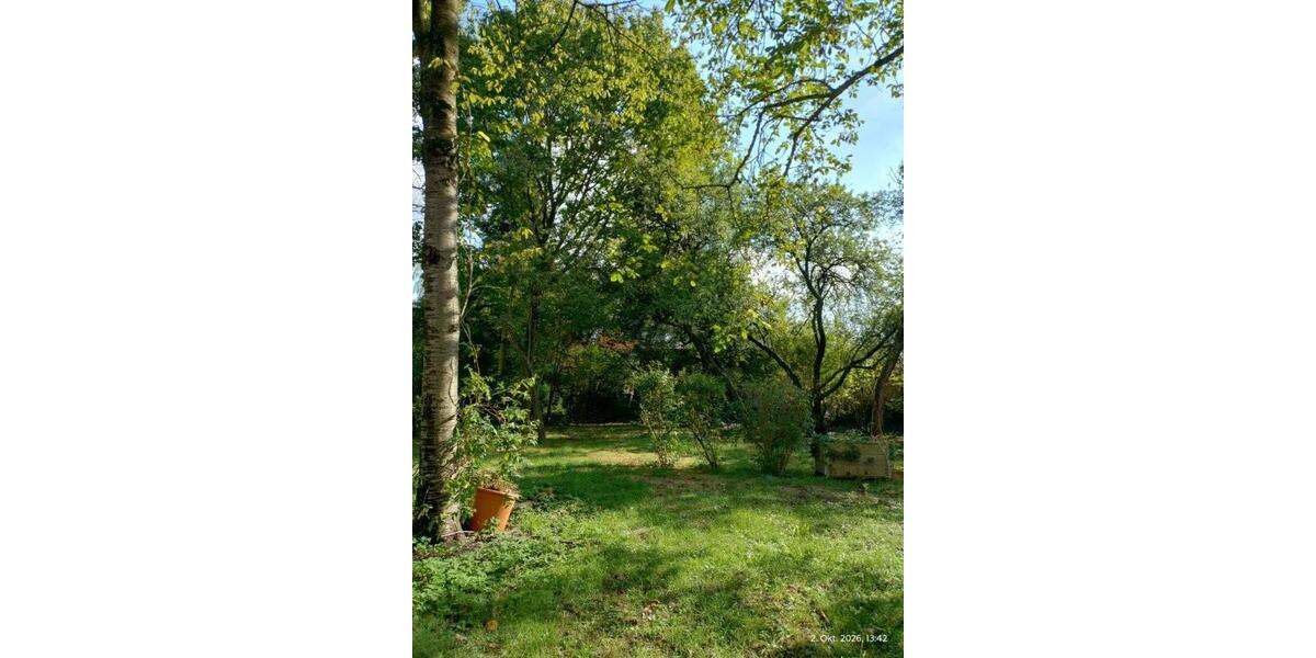 Erdgeschoßwohnung mit Gartennutzung und Souterrainraum direkt am Klettenbergpark - Erdgeschoßwohnung Köln Klettenberg | Angebot:27519716