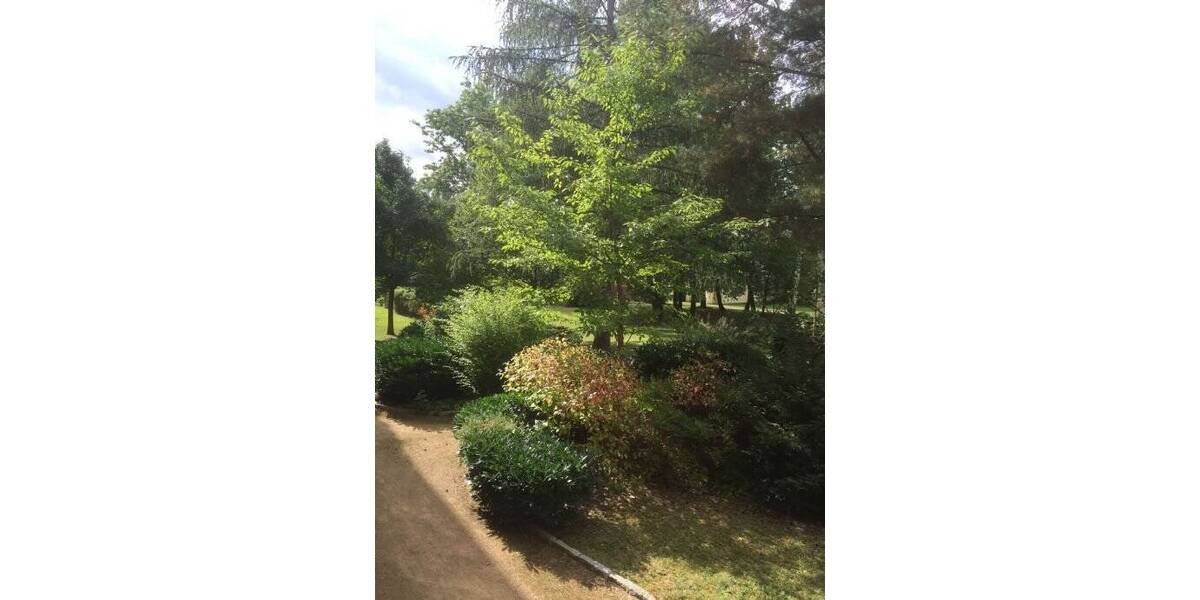 Etagenwohnung Dresden Striesen-Süd - 3 Zimmer, 68 m&sup2;, 717&euro; | Angebot:25265174