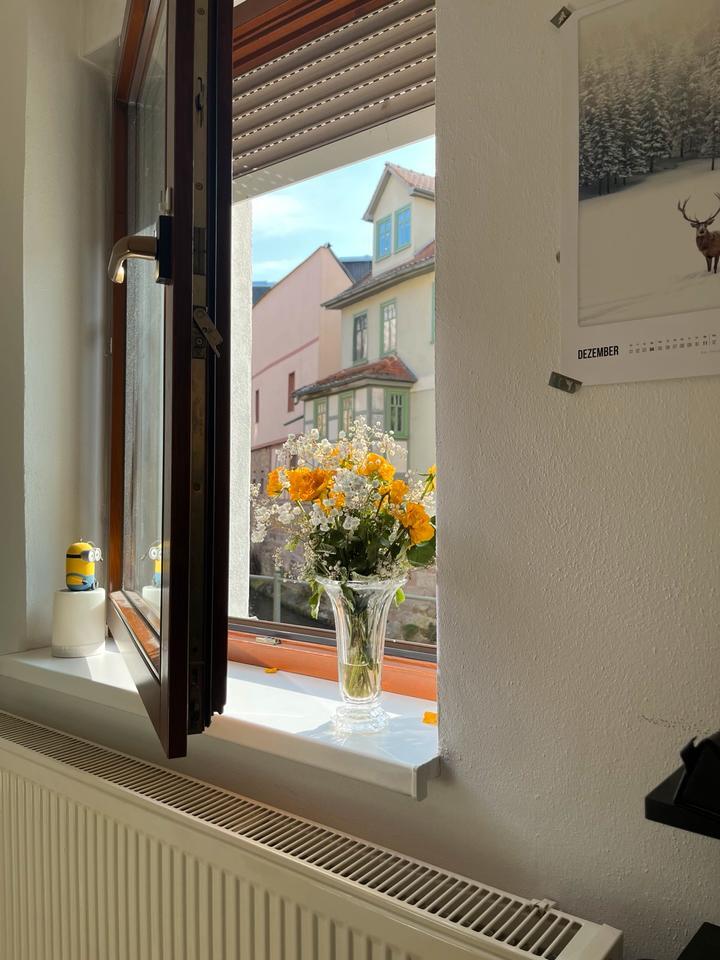 2er WG in Stadtroda (nähe von Jena, Gera, Weimar)