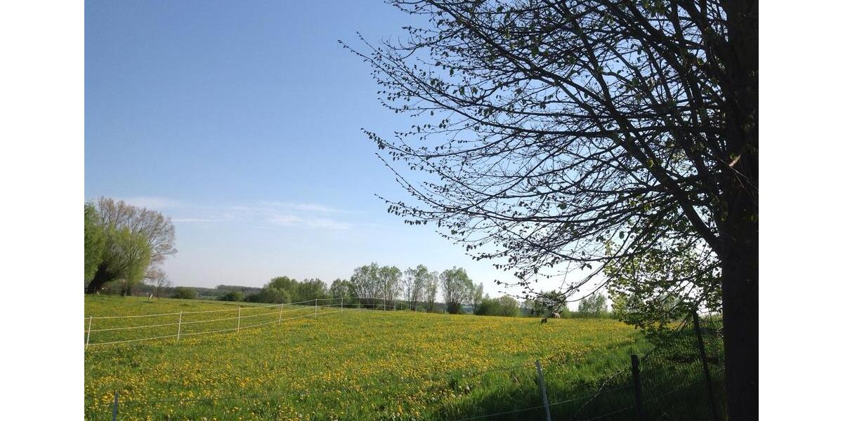 Dachgeschoßwohnung Satow - 2 Zimmer, 52 m&sup2;, 530&euro; | Angebot:24813952