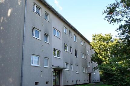 Wohnung Kassel Bettenhausen - 4 Zimmer, 79 m&sup2;, 735&euro; | Angebot:23483597