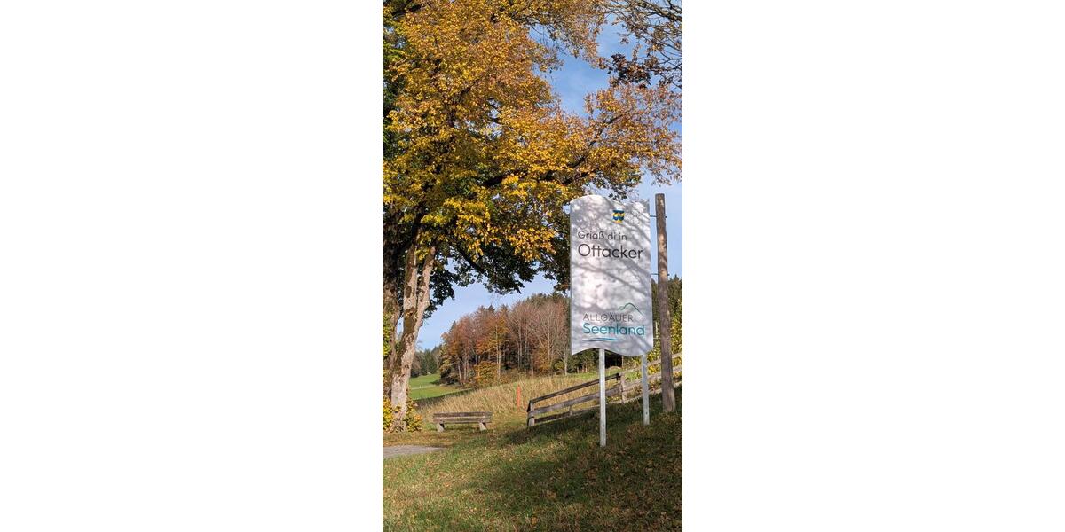 Möbliertes 30 qm Apartment mit Terrasse in ruhiger Lage auf Zeit 1 zimmer