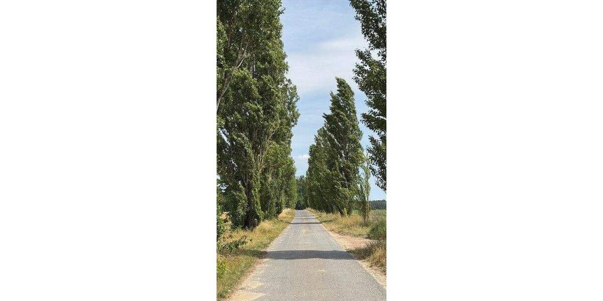 Etagenwohnung Volkach Rimbach - 6 Zimmer, 200 m&sup2;, 1.690&euro; | Angebot:25736617