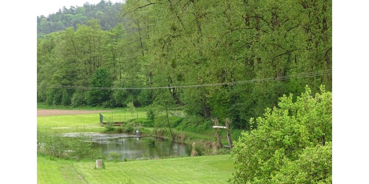 Gewerbeobjekt Geiselwind - 1.860&euro; | Angebot:24810949