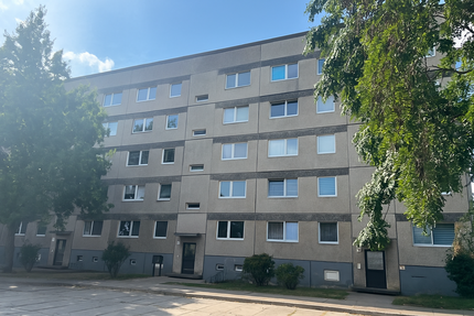 Wohnung Zielitz - 2 Zimmer, 55 m&sup2;, 370&euro; | Angebot:27281358