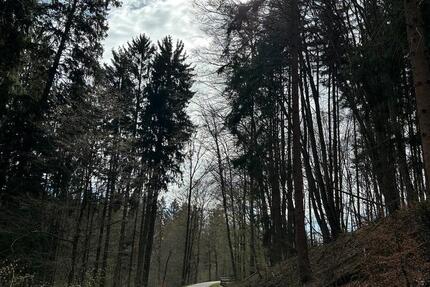 Wohnung Leinfelden-Echterdingen Echterdingen - 4 Zimmer, 83 m&sup2;, 1.550&euro; | Angebot:26256421