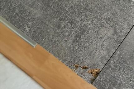 Wohnung Nürnberg Rabus - 1 Zimmer, 4 m&sup2;, 60&euro; | Angebot:25827633