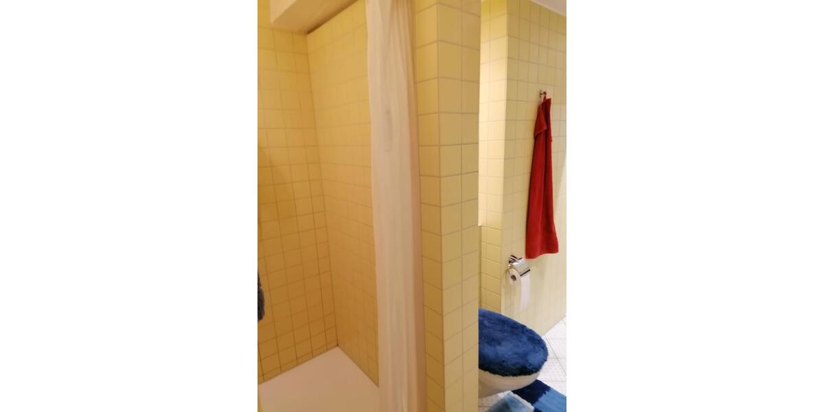 Dachgeschoßwohnung Bingen am Rhein - 2 Zimmer, 104 m&sup2;, 1.050&euro; | Angebot:26267774