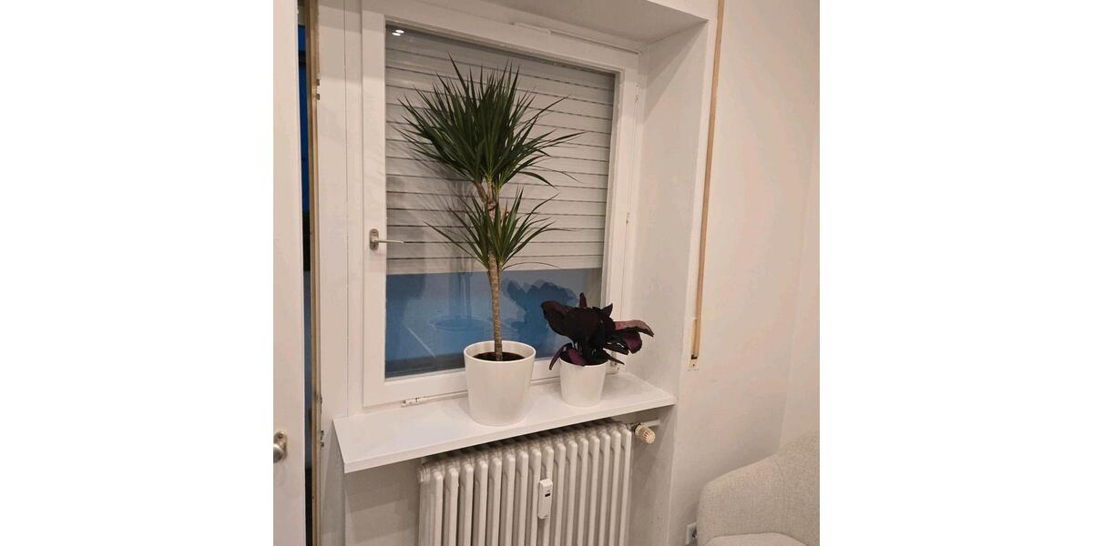 Wohnen auf Zeit Freiburg im Breisgau Oberau - 5 Zimmer, 80 m&sup2;, 390&euro; | Angebot:26408466