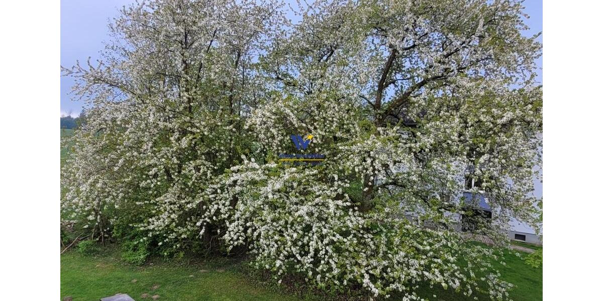 Etagenwohnung Hessisch Lichtenau - 3 Zimmer, 65 m&sup2;, 530&euro; | Angebot:26429346