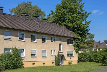 Wohnung zum Mieten in Hagen 449 € 60.88 m² 3 zimmer