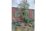 helle 4ZKB Maisonette mit Garten zimmer