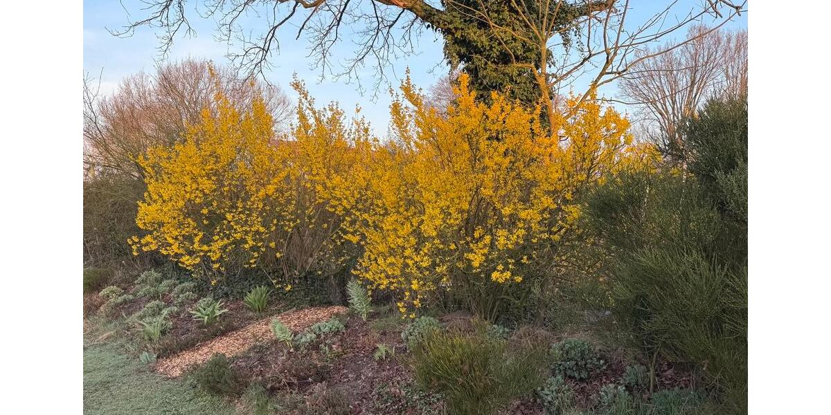 Wohnen auf Zeit Greven - 2 Zimmer, 50 m&sup2;, 80&euro; | Angebot:25903731