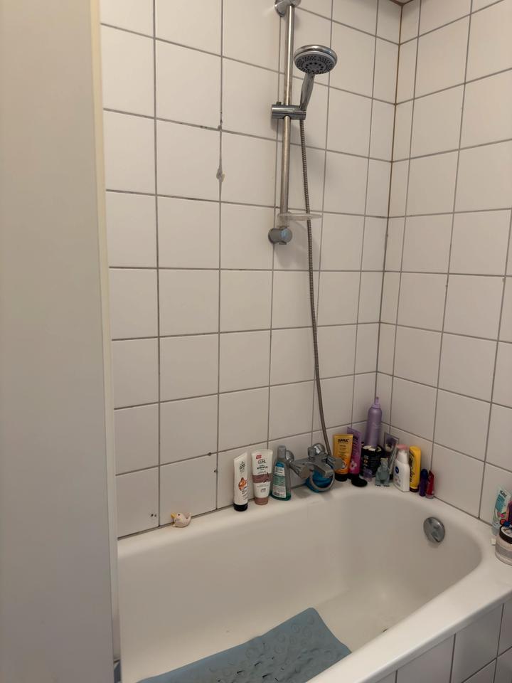3ZKB mit Einbauküche
