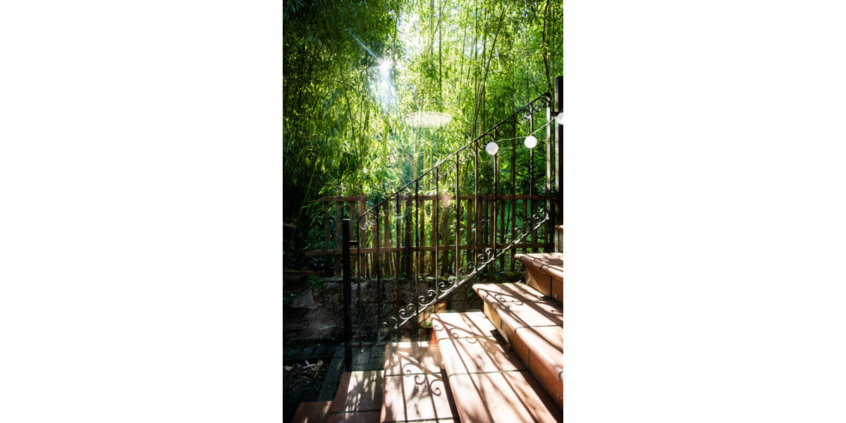 Wohnen auf Zeit Königswinter - 1 Zimmer, 45 m&sup2;, 800&euro; | Angebot:25855331