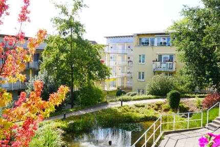Wohnung zum Mieten in Wuppertal 560 € 39.88 m²