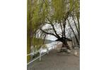 Bungalow Milower Land - 3 Zimmer, 100 m&sup2;, 600&euro; | Angebot:26299060
