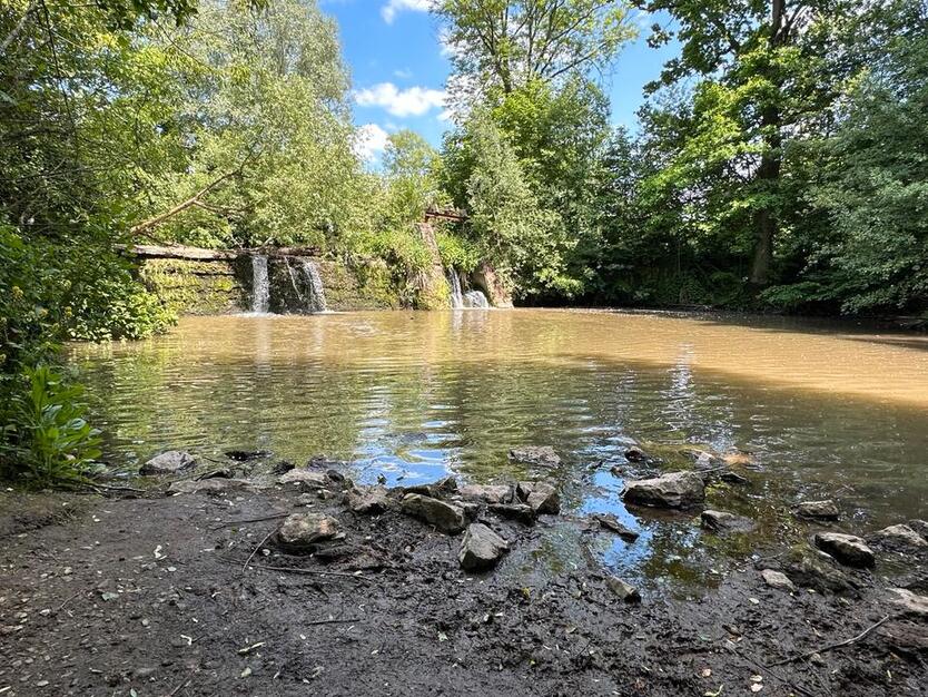 1 Zimmer Wohnung in Zirndorf zimmer