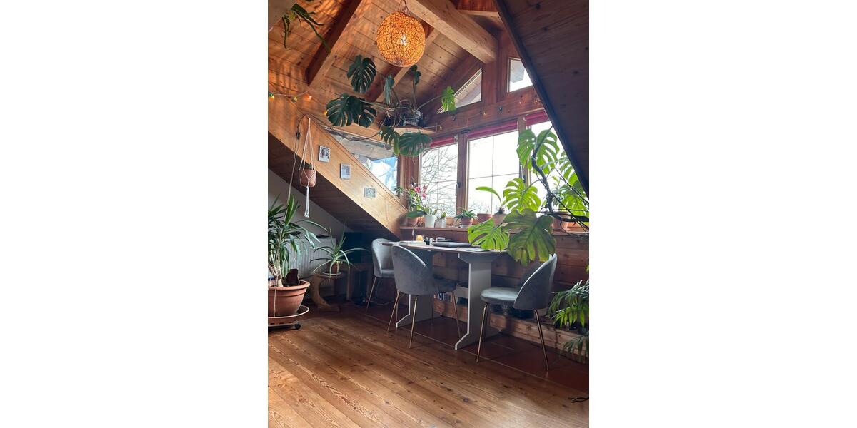 Wohnen auf Zeit Schwifting - 2 Zimmer, 60 m&sup2;, 800&euro; | Angebot:24853158