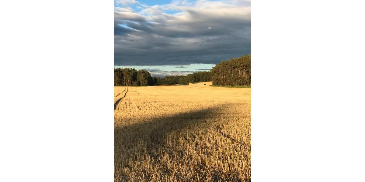 Wohnen auf Zeit Wiesenburg/Mark Mark - 1 Zimmer, 35 m&sup2;, 490&euro; | Angebot:24851381