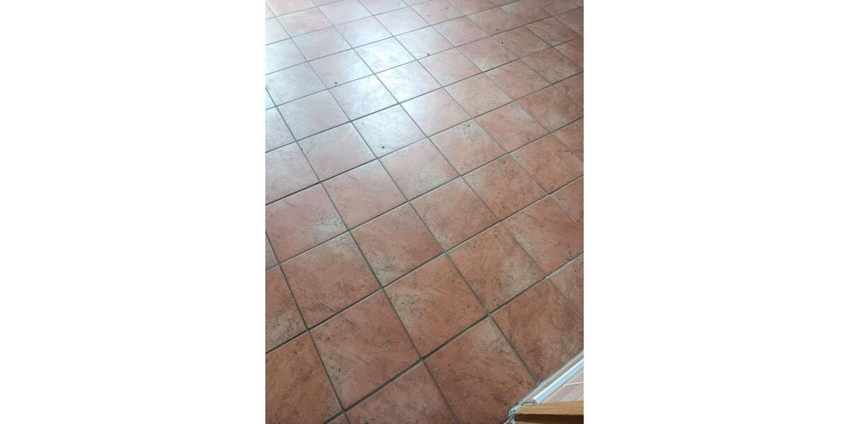 Erdgeschoßwohnung Wedemark - 5 Zimmer, 160 m&sup2;, 990&euro; | Angebot:26633446
