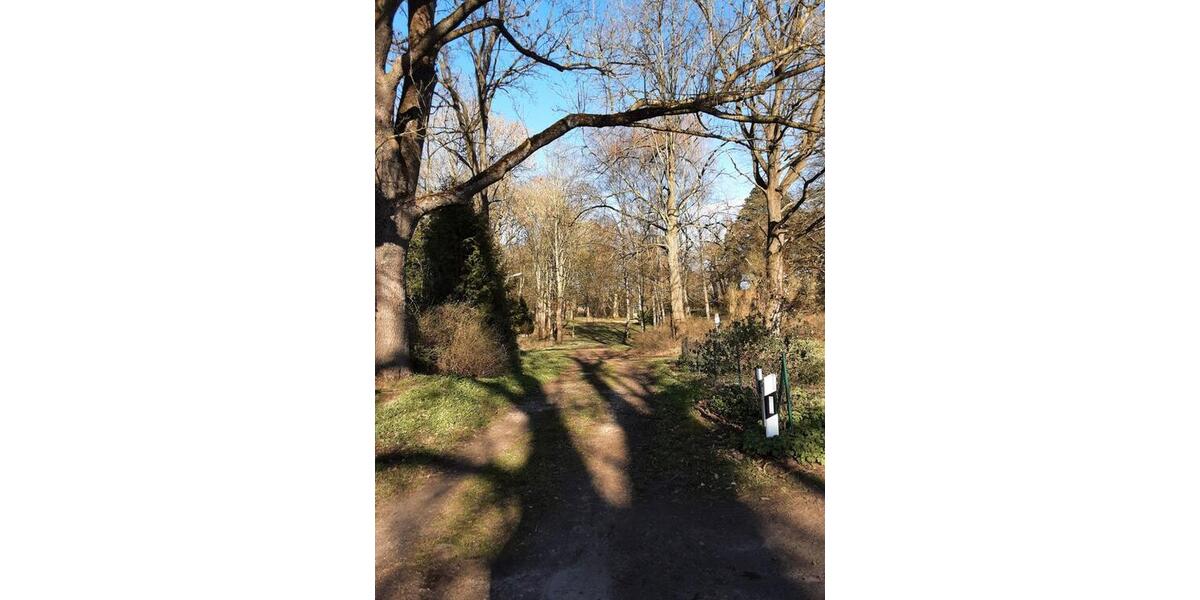 Etagenwohnung Goldberg - 5 Zimmer, 91 m&sup2;, 510&euro; | Angebot:26030802